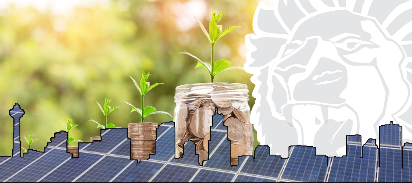 Solar Companies in Sri Lanka